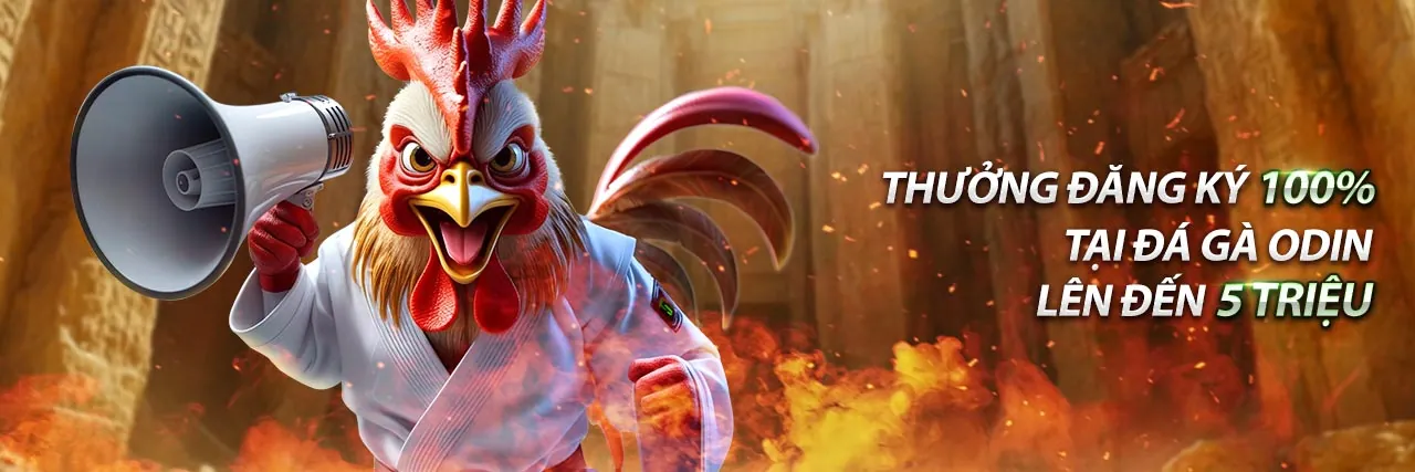 Chương Trình Đại Lý 98win8 App